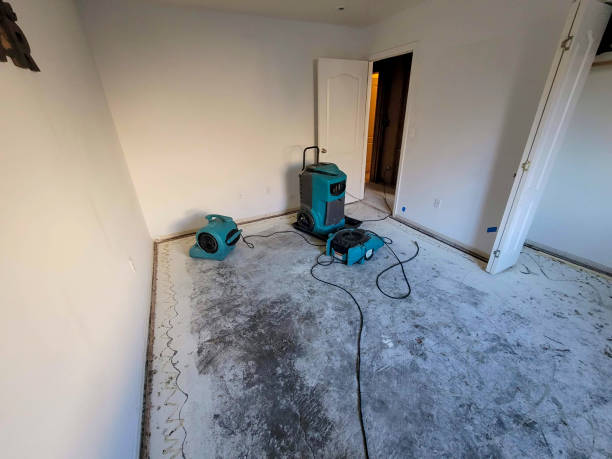  Shoreline, WA Water damage restoration Pros