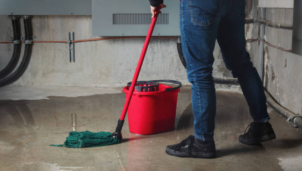 Best Flood damage cleanup  in Shoreline, WA