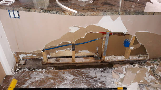 Best Local water damage restoration  in Shoreline, WA