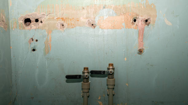 24/7 water damage repair in Shoreline, WA