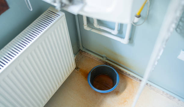 Best Flooded house restoration  in Shoreline, WA