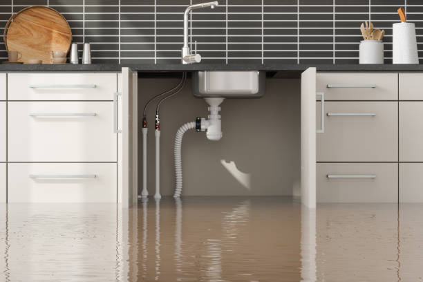 Professional Water damage restoration in Shoreline, WA