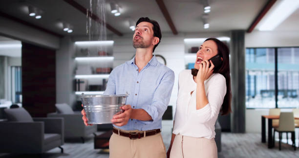 Best Water damage restoration near me  in Shoreline, WA