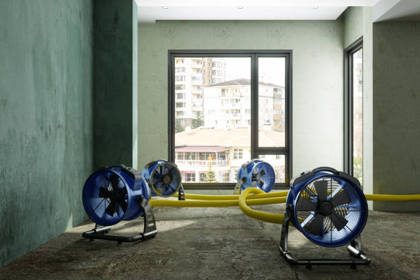 Best Emergency water damage restoration  in Shoreline, WA